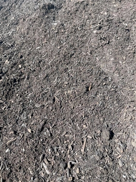 Compost